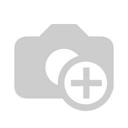 凤凰于飞.webp