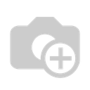 凤凰于飞.webp